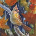 Female Cardinal
Size:8 X 10
Medium: Mixed Media
Price: SOLD

8x10 Prints Available $25.00

