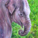 Baby Elephant
Size:10 x 10
Medium: Acrylic
Subject: Wildlife
Frame Size: x
Frame Description: gallery wrapped canvas

Description of Work: This baby elephant was painted after taking photos at the St. Louis Zoo and is part of my Zoo series. 

Price: $150.00
(Prints Available)
