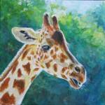 Giraffe
Size:10 x 10
Medium: Acrylic
Gallery wrapped canvas

Description of Work: This friendly giraffe is fourth in my St. Louis Zoo series. This giraffe posed quite nicely for me and allowed me to capture his thoughtful demeanor in this colorful piece.

Price: $150.00
(Prints Available)